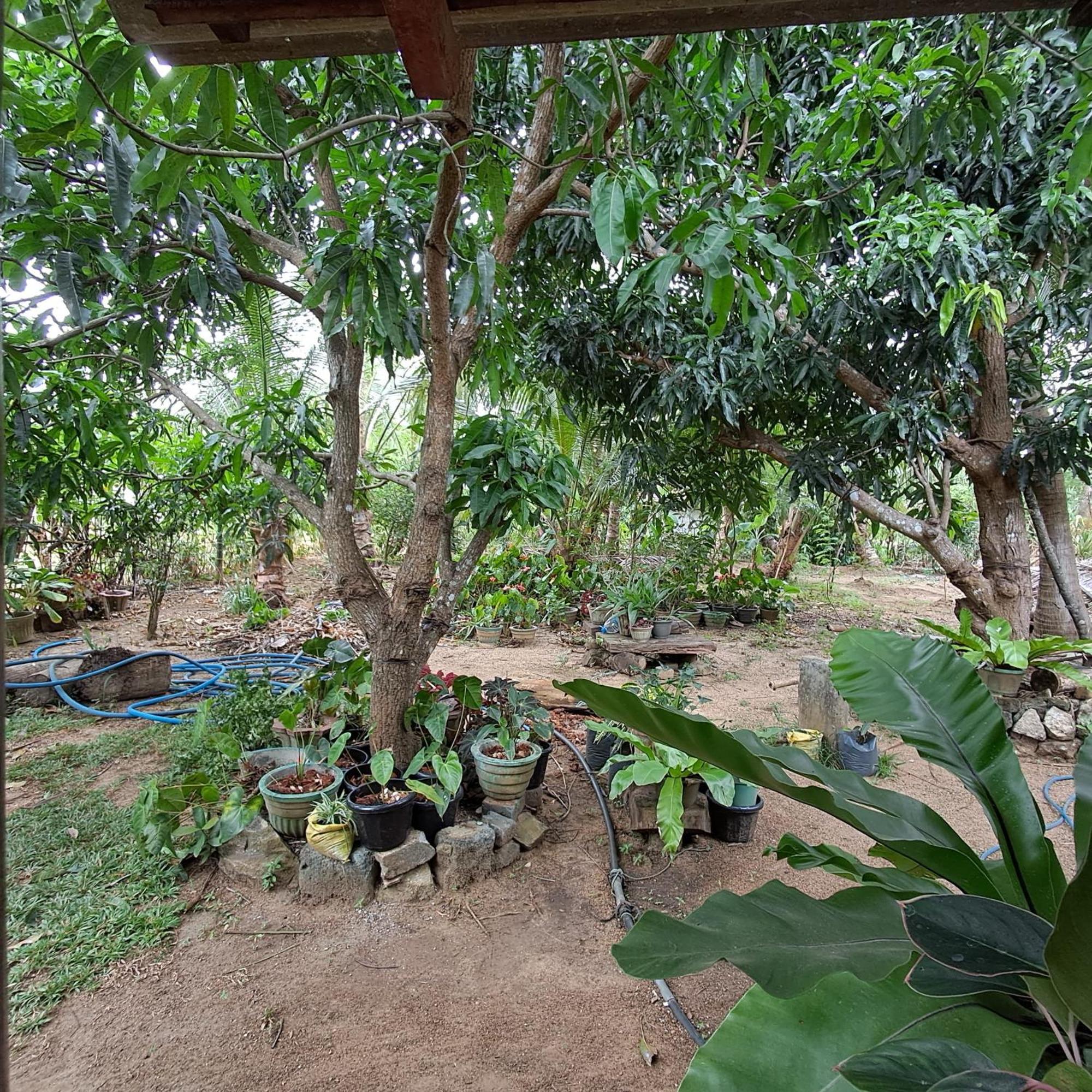 Habitación en casa particular Bandula Sigiriya